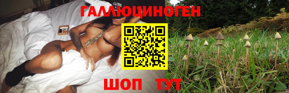 Галлюциногенные грибы мицелий Москва