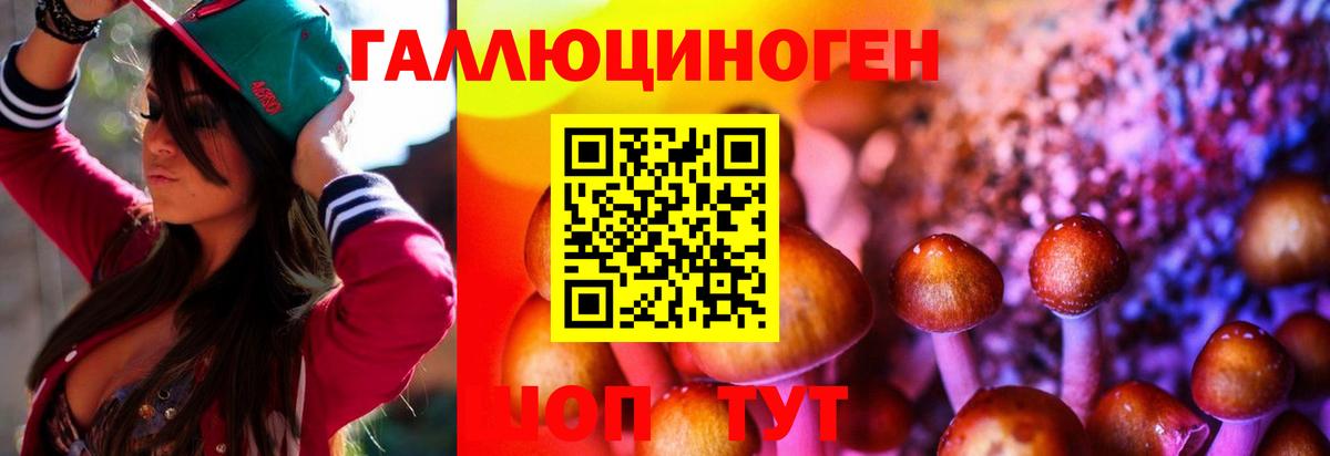 Москва  Галлюциногенные грибы ЛСД  Вход с VPN  Псилоцибиновые грибы Psilocybine cubensis 